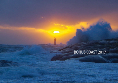 Fotoalmanackan Bohus coast 2017