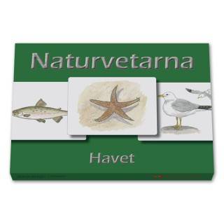 Naturvetarna Havet