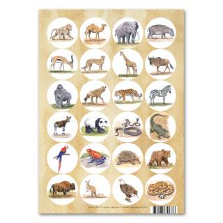 Stickers Vilda djur