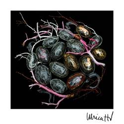 Vykort UHV - The Nest
