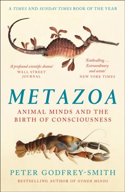 Metazoa