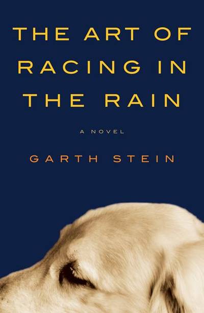 Art of Racing in the Rain Intl, The