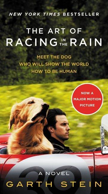 The Art of Racing in the Rain MTI