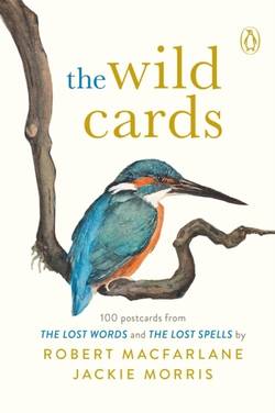 Wild Cards - A 100 Postcard Box Set