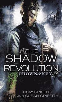 Shadow revolution