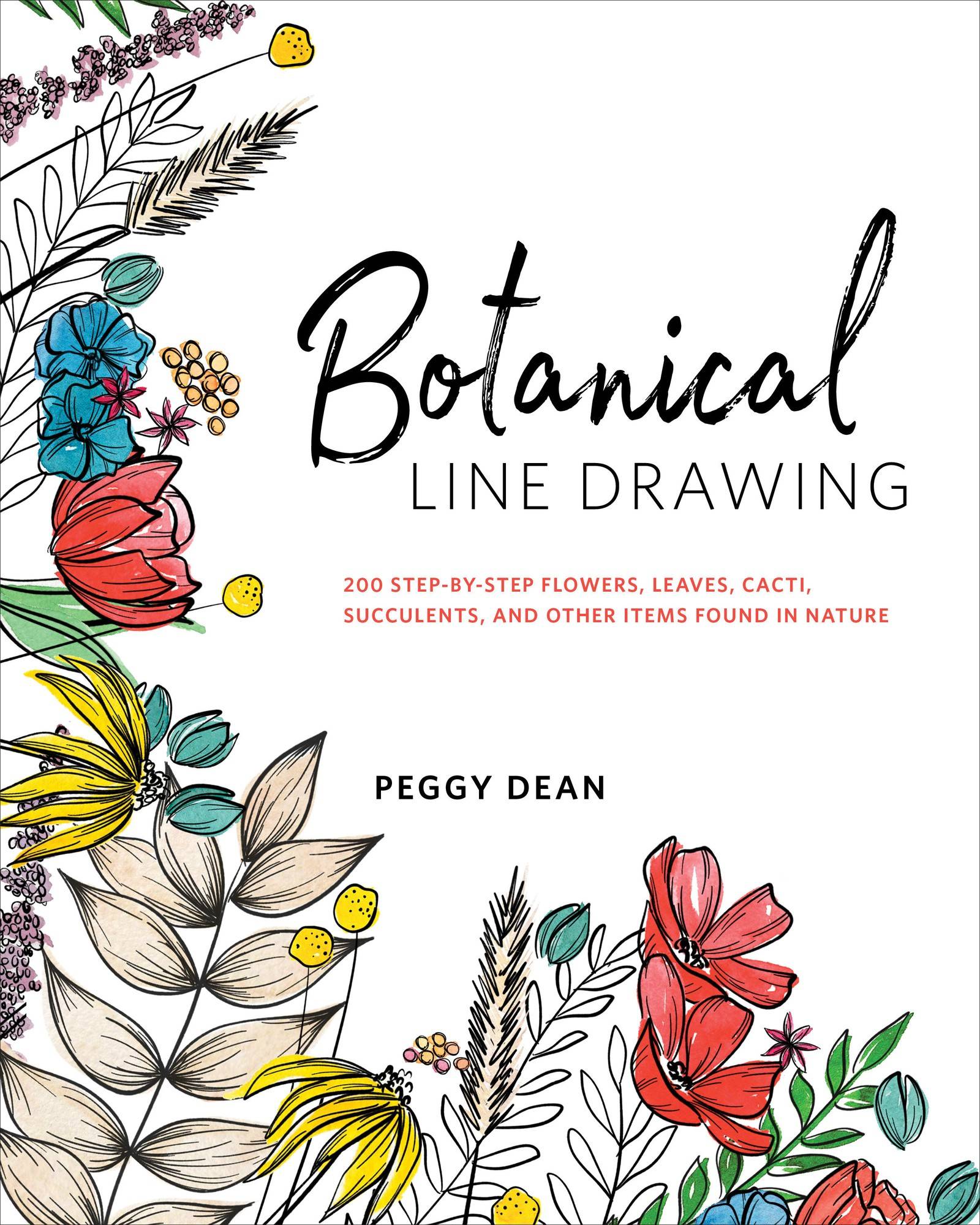 Botanical line drawing - 200 step-by-step flowers, leaves, cacti, succulent