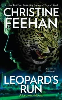 Leopard's Run