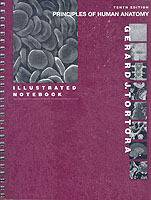 Principles of Human Anatomy, Illustrated Notebook, 10th Edition