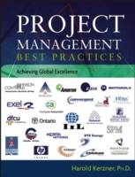 Project Management Best Practices: Achieving Global Excellence