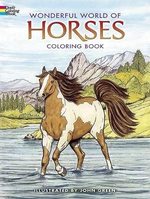 Wonderful world of horses coloring book