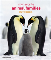 My favourite animal families