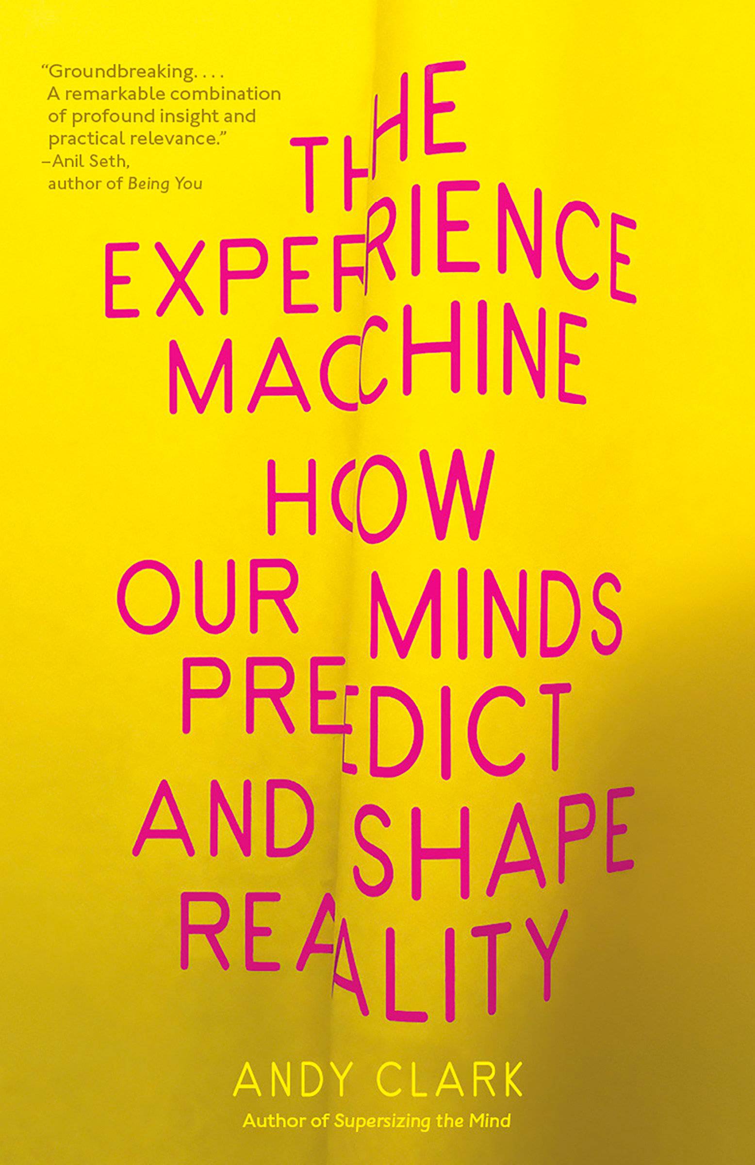 The Experience Machine: How Our Minds Predict and Shape Reality