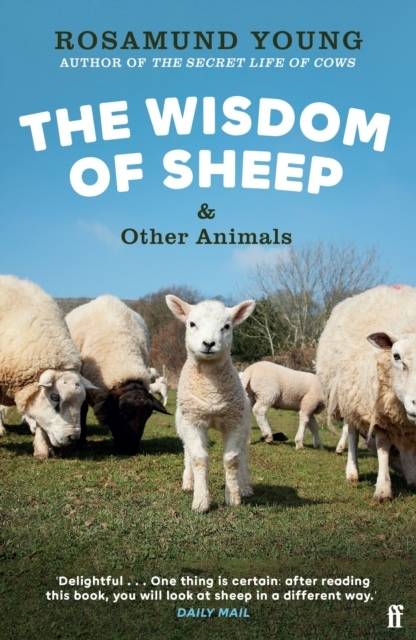 The Wisdom of Sheep & Other Animals