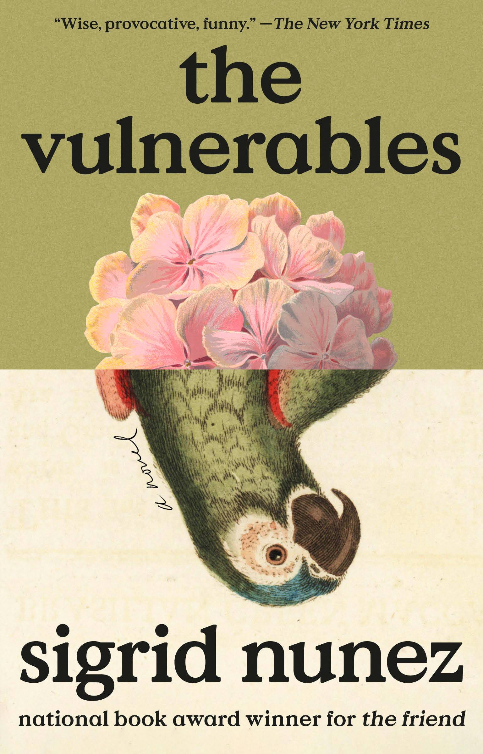 The Vulnerables: A Novel