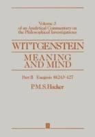 Wittgenstein: meaning and mind - volume 3 of an analytical commentary on th