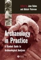 Archaeology in Practice: A Student Guide to Archaeological Analyses
