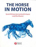 Horse in motion