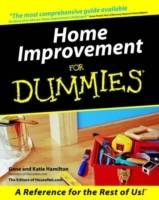 Home Improvement For Dummies