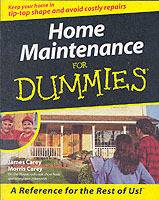 Home Maintenance for Dummies