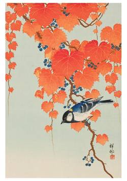 Japanese Bunting Notecard