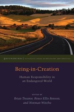 Being-in-creation - human responsibility in an endangered world