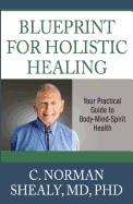 Blueprint for holsitic healing - your practical guide to body-mind-spirit h