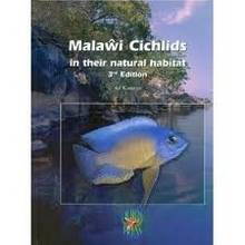 Malawi Cichlids in their natural habitat