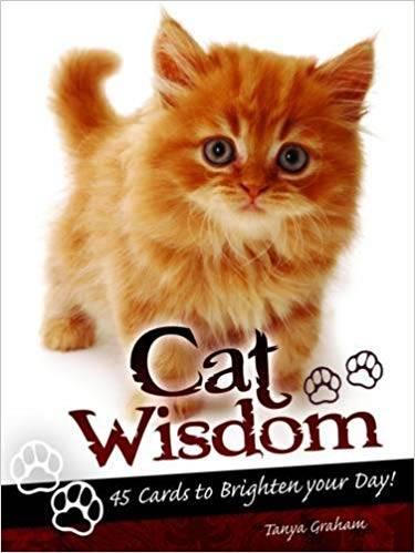 Cat Wisdom: 45 Cards To Inspire & Uplift (45 Cards & 50-Page