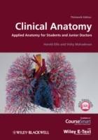 Clinical Anatomy: Applied Anatomy for Students and Junior Doctors, 13th Edi