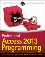 Professional Access 2013 Programming