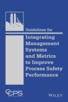 Guidelines for Integrating Management Systems and Metrics to Improve Proces