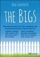 The Bigs: The Secrets Nobody Tells Students and Young Professionals About H