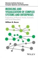 Understanding Complex Systems Phenomena, Representations, Computation and V