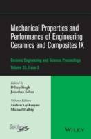 Mechanical Properties and Performance of Engineering Ceramics and Composite