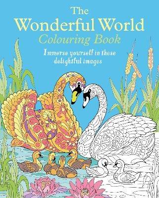 The Wonderful World Colouring Book