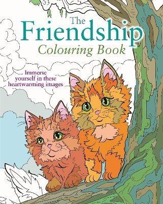 The Friendship Colouring Book