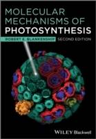 Molecular Mechanisms of Photosynthesis