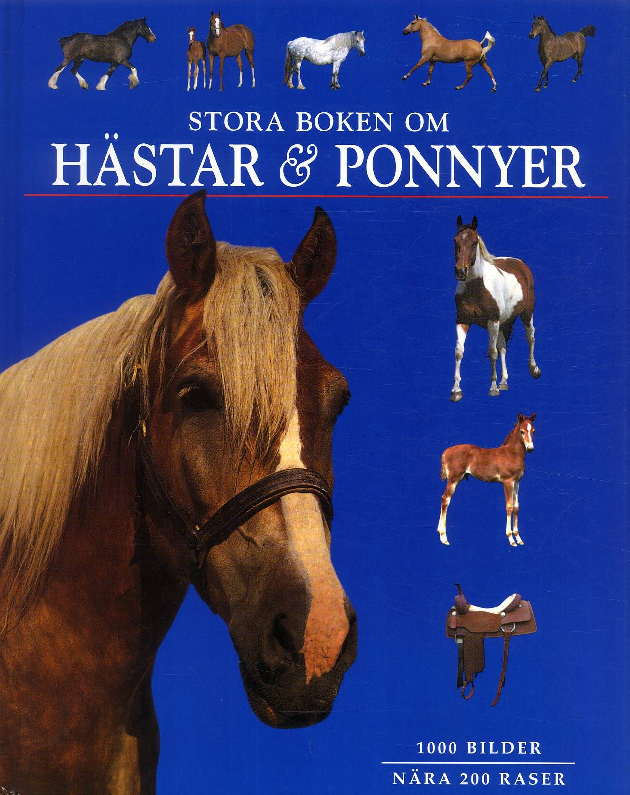 Stora boken om hästar och ponnyer