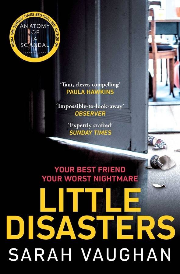 Little Disasters - the compelling and thought-provoking new novel from the