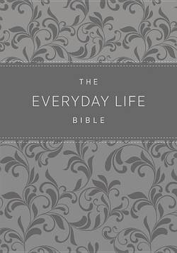 Everyday life bible (fashion edition: gray imitation leather) - the power o