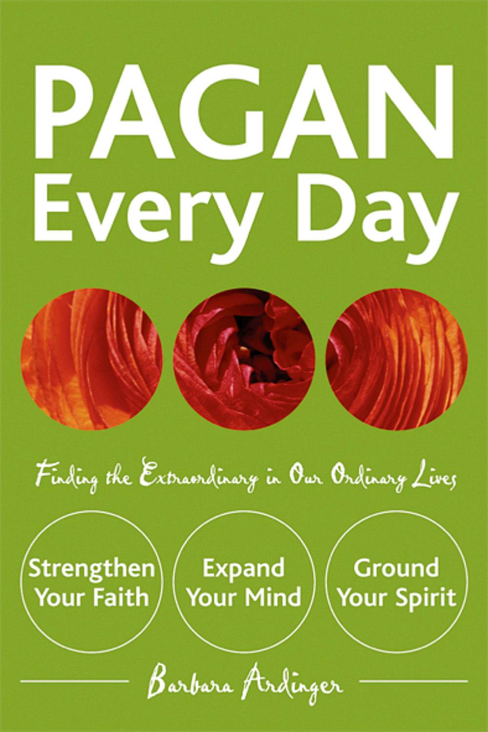 Pagan every day - finding the extraordinary in our ordinary lives