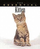 The Essential Kitten