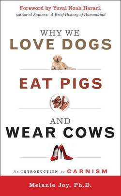 Why We Love Dogs, Eat Pigs And Wear Cows