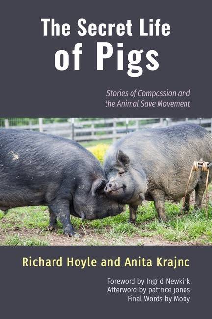 Secret Life Of Pigs