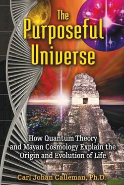 Purposeful universe - how quantum theory and mayan cosmology explain the or
