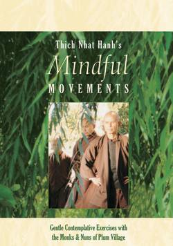 Mindful Movements (DVD)
