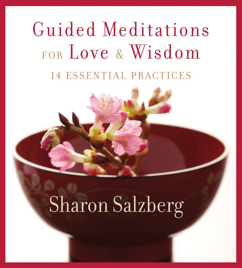Guided meditations for love and wisdom - 14 essential practices