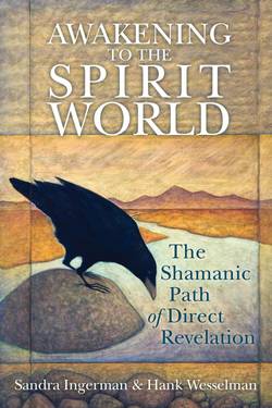 Awakening to the spirit world - the shamanic path of direct revelation