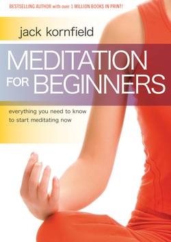 Meditation for Beginners : Everything You Need to Know to Start Meditating Now