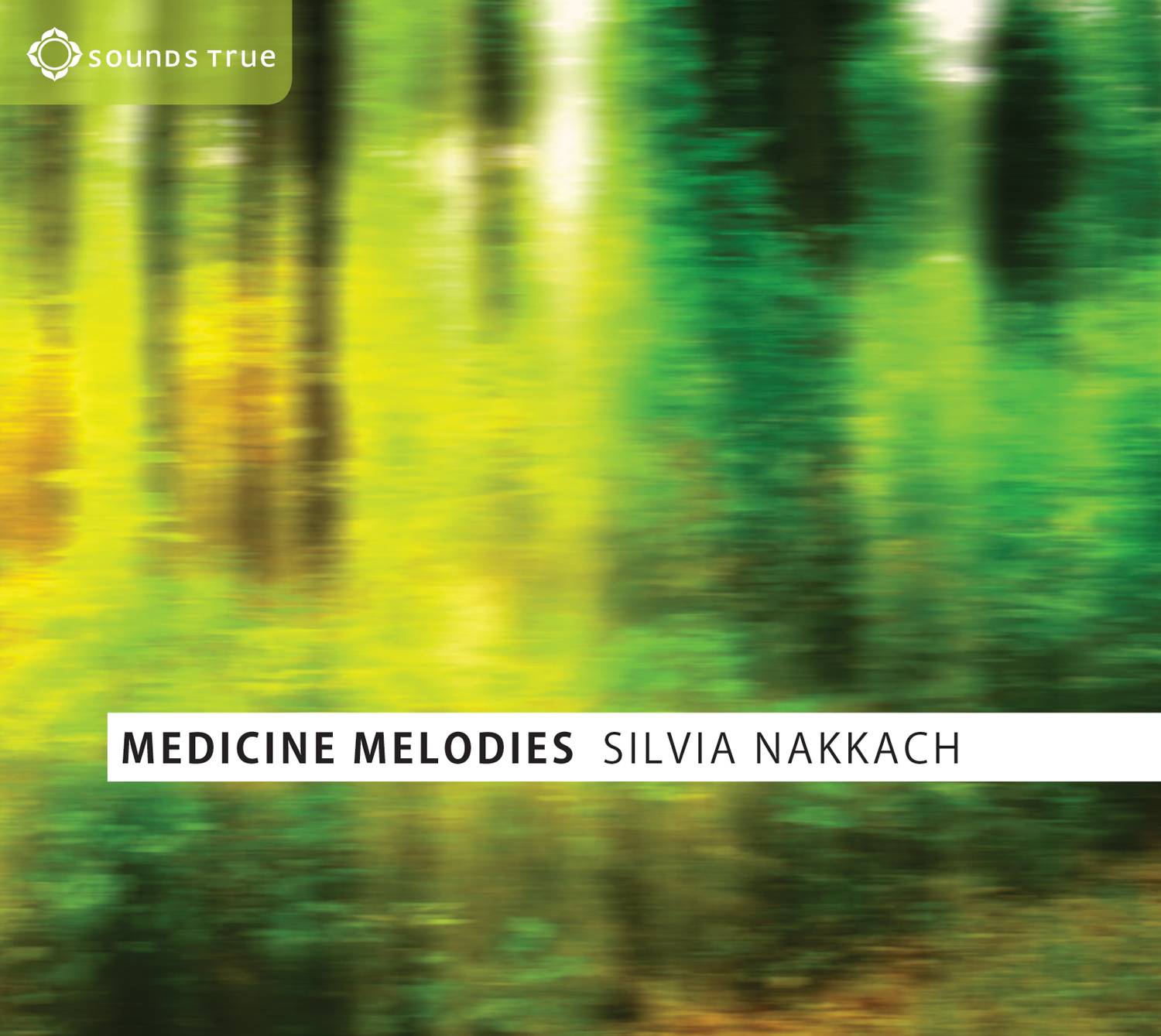 Medicine Melodies : Songs the Healers hear